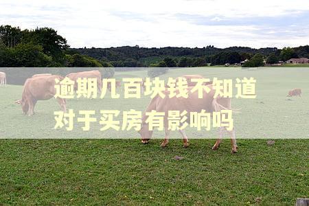 逾期几百块钱不知道对于买房有影响吗 逾期几百块钱不知道对于买房有影响吗