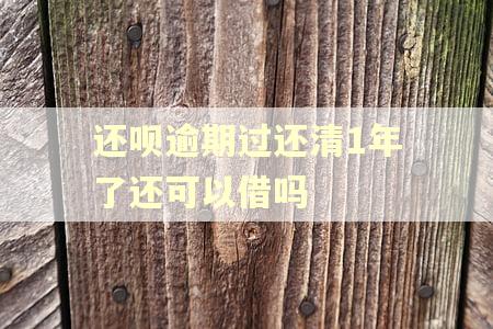 还呗逾期过还清1年了还可以借吗