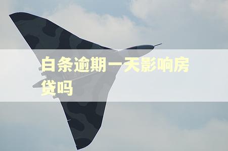 白条逾期一天影响房贷吗