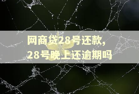 网商贷28号还款,28号晚上还逾期吗