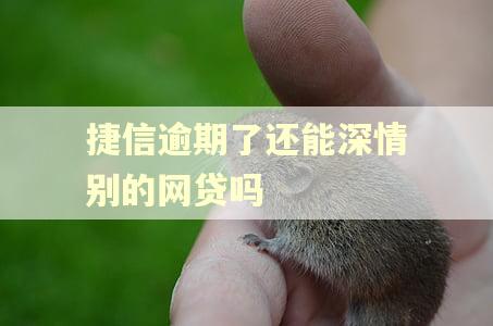 捷信逾期了还能深情别的网贷吗