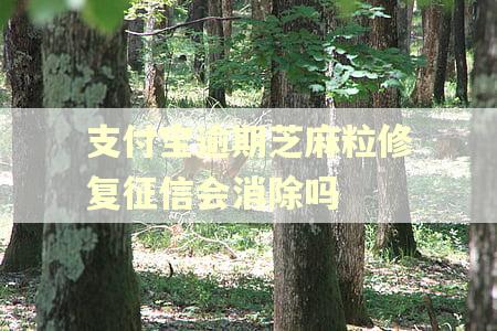 支付宝逾期芝麻粒修复征信会消除吗