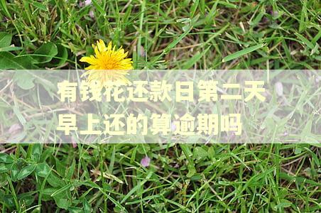 有钱花还款日第二天早上还的算逾期吗