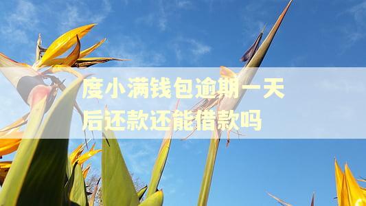 度小满钱包逾期一天后还款还能借款吗