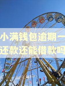 度小满钱包逾期一天后还款还能借款吗
