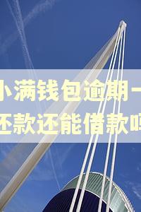 度小满钱包逾期一天后还款还能借款吗