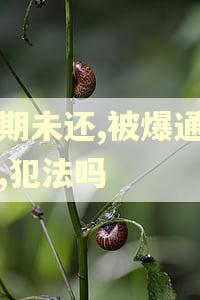逾期未还,被爆通讯录,犯法吗
