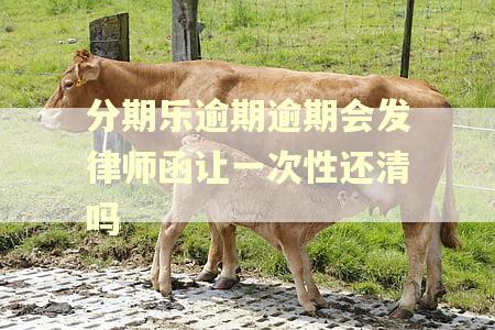 分期乐逾期逾期会发律师函让一次性还清吗