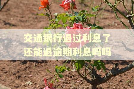 交通银行退过利息了还能退逾期利息吗吗