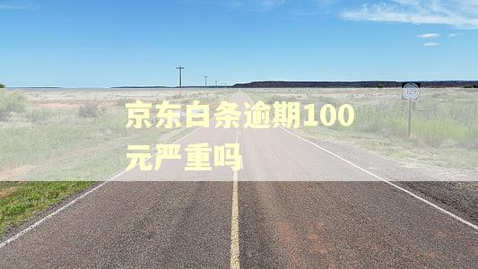 京东白条逾期100元严重吗 京东白条逾期100元严重吗