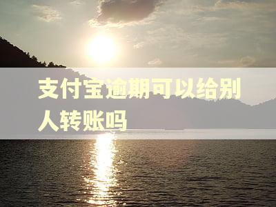支付宝逾期可以给别人转账吗