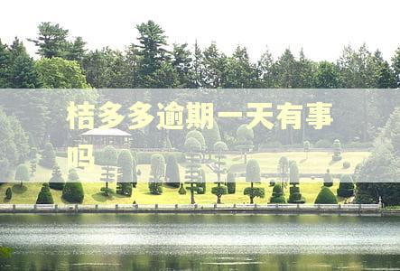 桔多多逾期一天有事吗 桔多多逾期一天有事吗