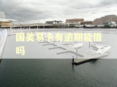 国美易卡有逾期能借吗