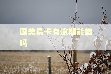 国美易卡有逾期能借吗