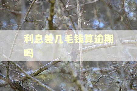 利息差几毛钱算逾期吗 利息差几毛钱算逾期吗