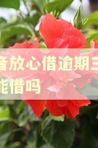 抖音放心借逾期三天还能借吗