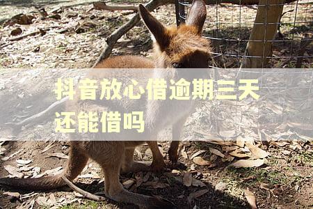 抖音放心借逾期三天还能借吗 抖音放心借逾期三天还能借吗