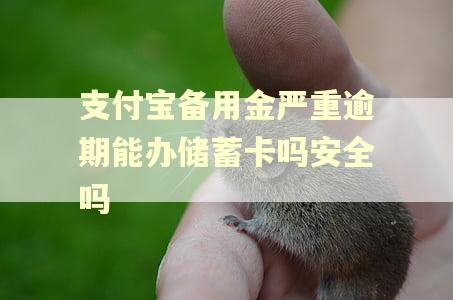 支付宝备用金严重逾期能办储蓄卡吗安全吗