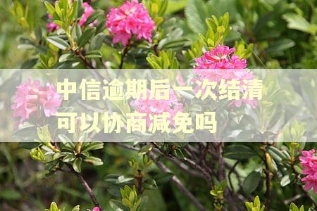 中信逾期后一次结清可以协商减免吗