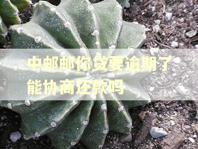 中邮邮你贷要逾期了能协商还款吗