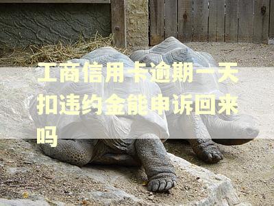 工商信用卡逾期一天扣违约金能申诉回来吗