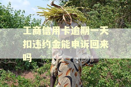工商信用卡逾期一天扣违约金能申诉回来吗 工商信用卡逾期一天扣违约金能申诉回来吗