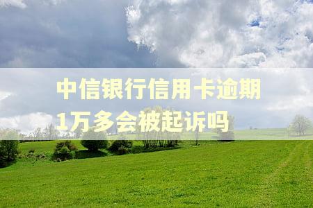 中信银行信用卡逾期1万多会被起诉吗 中信银行信用卡逾期1万多会被起诉吗