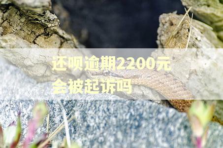 还呗逾期2200元会被起诉吗