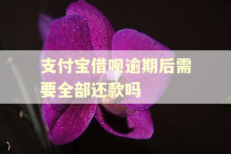 支付宝借呗逾期后需要全部还款吗