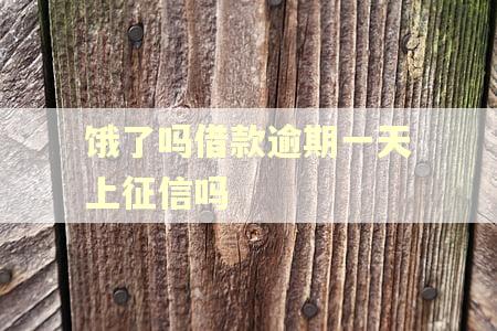 饿了吗借款逾期一天上征信吗 饿了吗借款逾期一天上征信吗