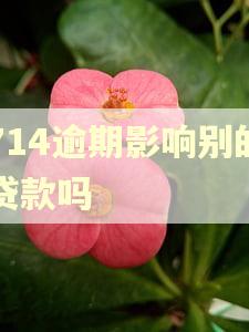 714逾期影响别的贷款吗