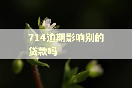 714逾期影响别的贷款吗