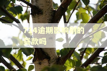 714逾期影响别的贷款吗
