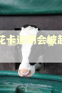 享花卡逾期会被起诉吗