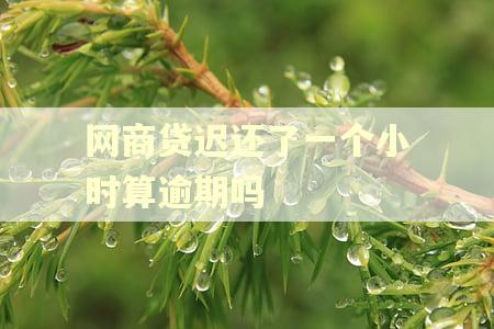 网商贷迟还了一个小时算逾期吗 网商贷迟还了一个小时算逾期吗