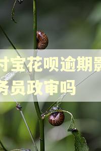支付宝花呗逾期影响公务员政审吗