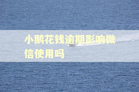 小鹅花钱逾期影响微信使用吗