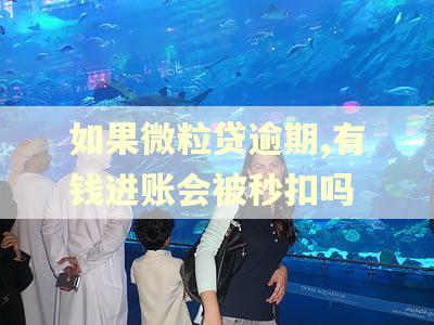 如果微粒贷逾期,有钱进账会被秒扣吗 如果微粒贷逾期,有钱进账会被秒扣吗
