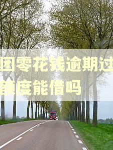 美团零花钱逾期过还有额度能借吗