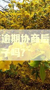 征信逾期协商后可以买房子吗？