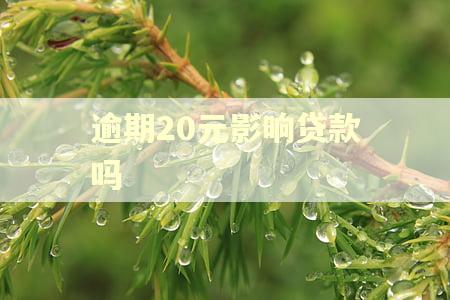 逾期20元影响贷款吗