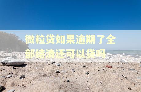 微粒贷如果逾期了全部结清还可以贷吗 微粒贷如果逾期了全部结清还可以贷吗