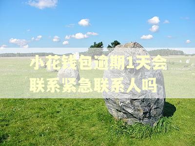 小花钱包逾期1天会联系紧急联系人吗