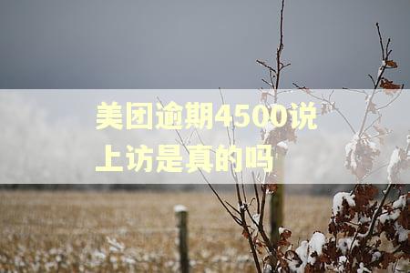 美团逾期4500说上访是真的吗