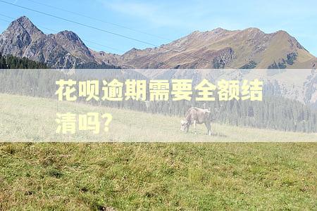 花呗逾期需要全额结清吗?