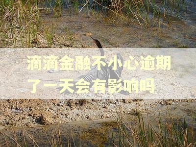 滴滴金融不小心逾期了一天会有影响吗