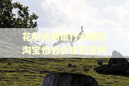 花呗逾期银行卡绑定淘宝也也会被扣走吗