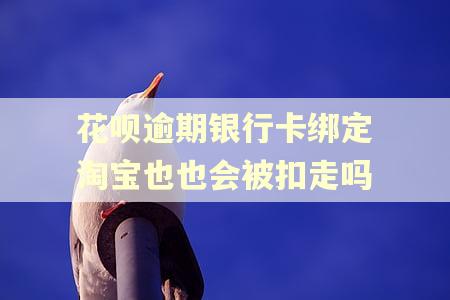 花呗逾期银行卡绑定淘宝也也会被扣走吗