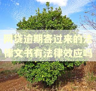 网贷逾期寄过来的法律文书有法律效应吗