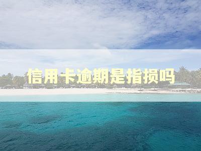 信用卡逾期是指损吗